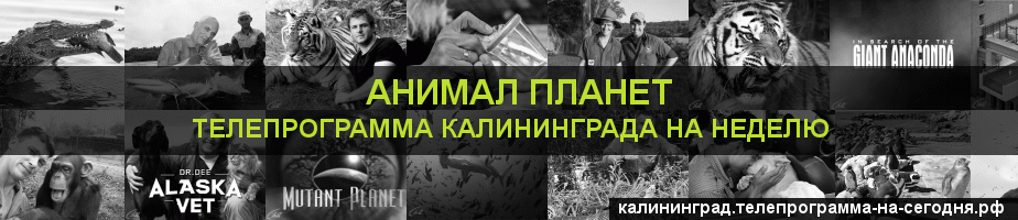 Телепрограмма на неделю канала Анимал Планет, Калининград
