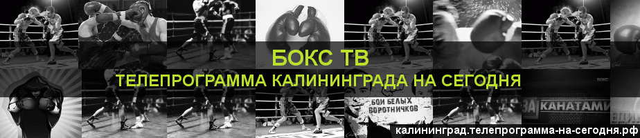Телепрограмма на сегодня канала Бокс ТВ, Калининград