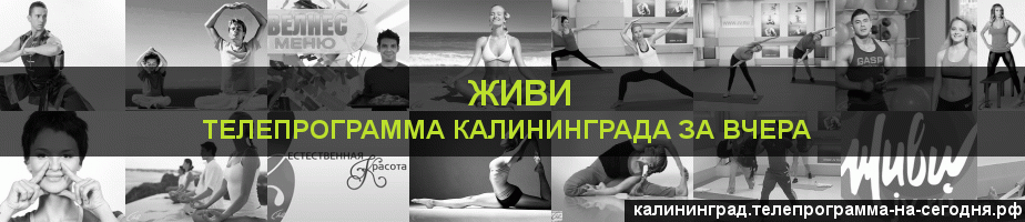 Телепрограмма за вчера канала Живи, Калининград